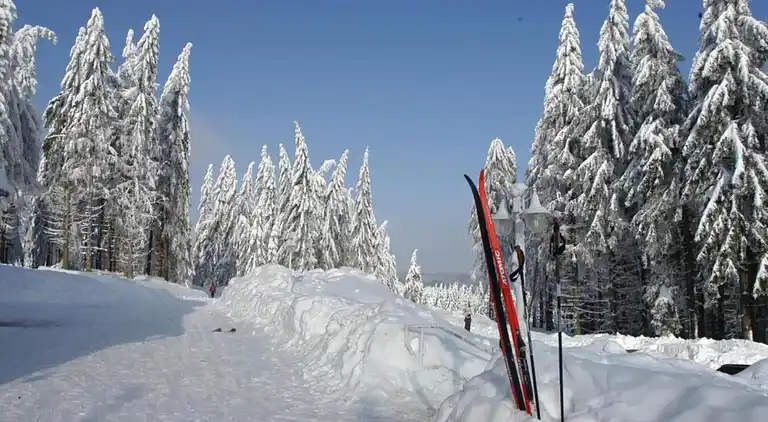 Appartement in Ernstroda