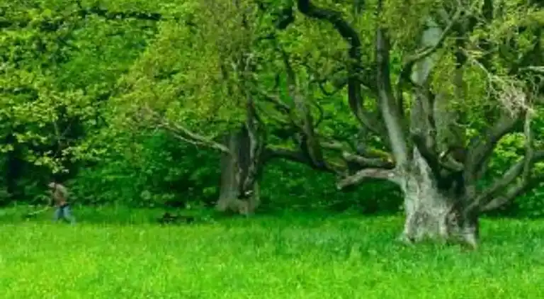 Appartement in Ernstroda