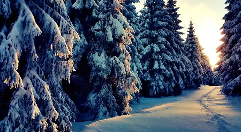 Appartement in Ernstroda