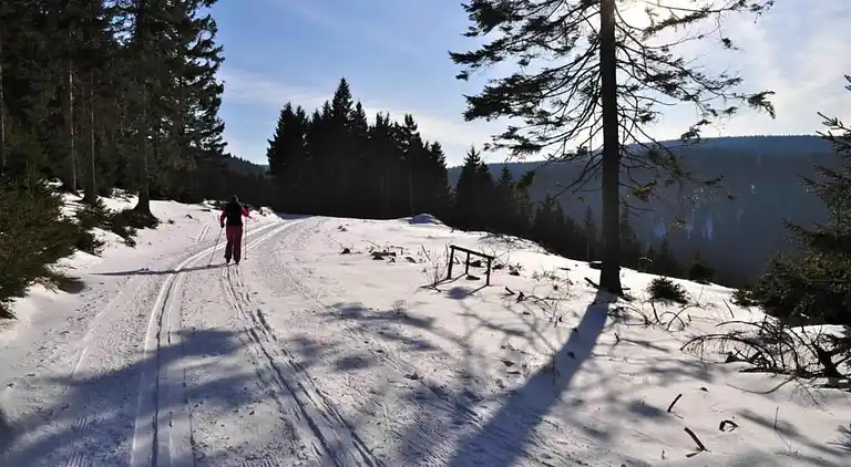 Appartement in Ernstroda