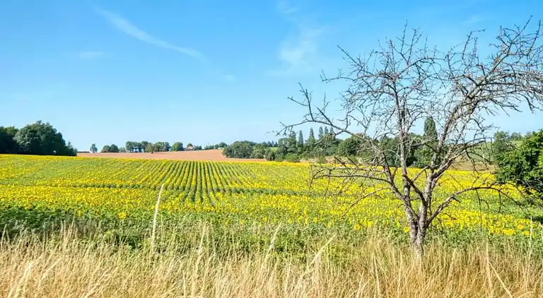Ferienhaus in Verteillac
