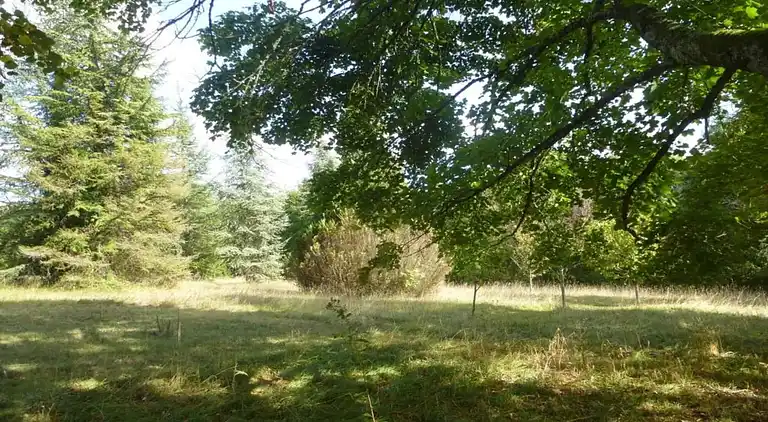 Ferienhaus in Verteillac