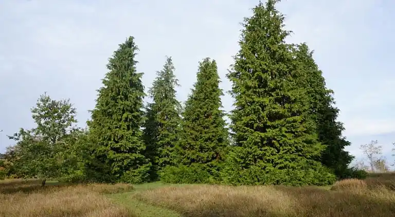 Ferienhaus in Verteillac