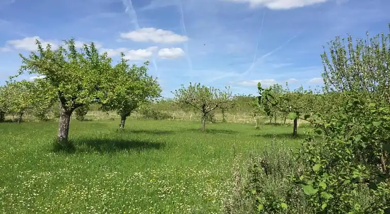 Ferienhaus in Verteillac