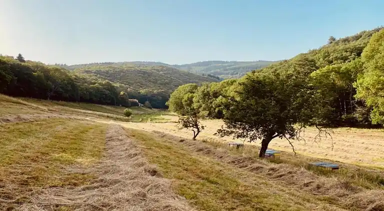 Feriebolig i Verreries-de-Moussans