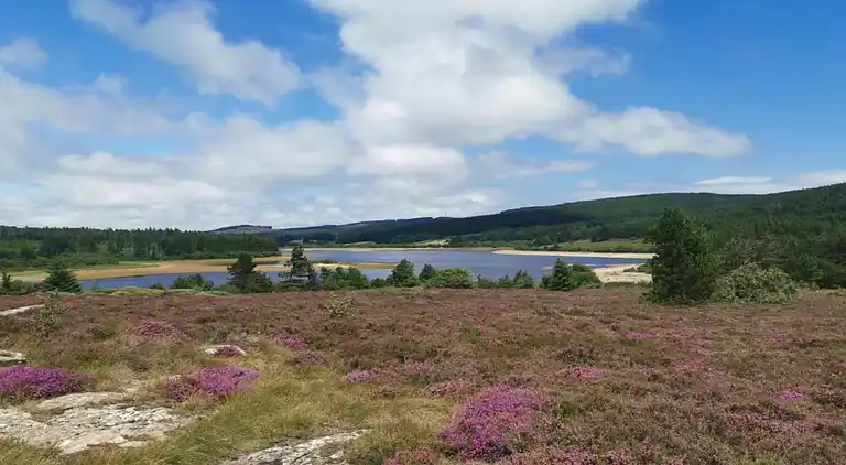 Feriebolig i Verreries-de-Moussans