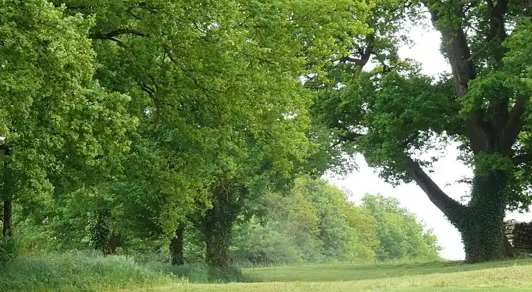 Holiday home in Faverolles-en-Berry