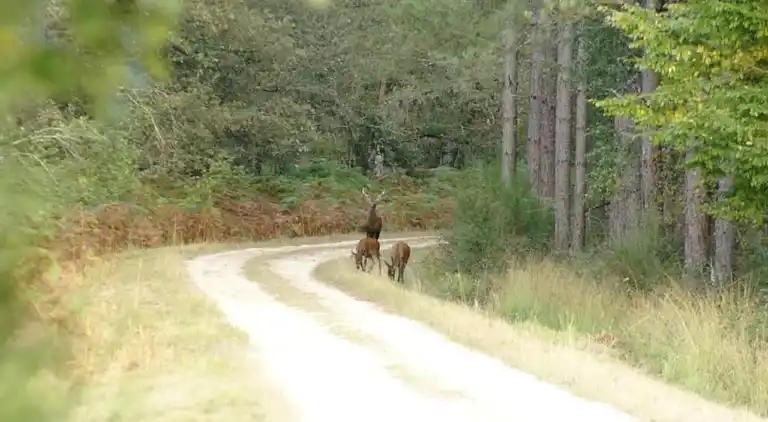 Holiday home in Faverolles-en-Berry