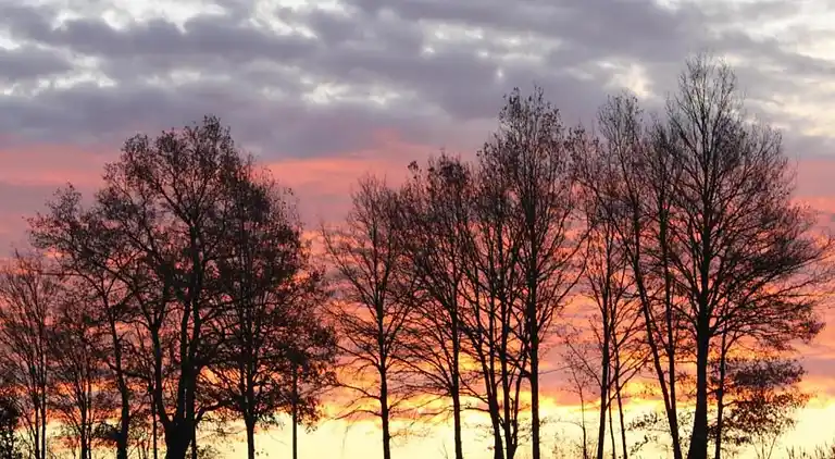 Holiday home in Faverolles-en-Berry