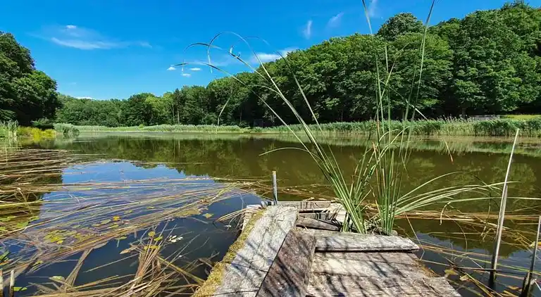 Maison de vacances au Laimont