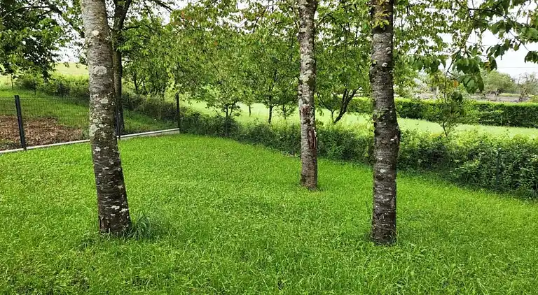 Maison de vacances au Laimont