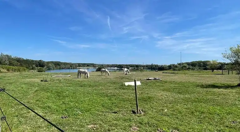 Hytte i Vaires-sur-Marne