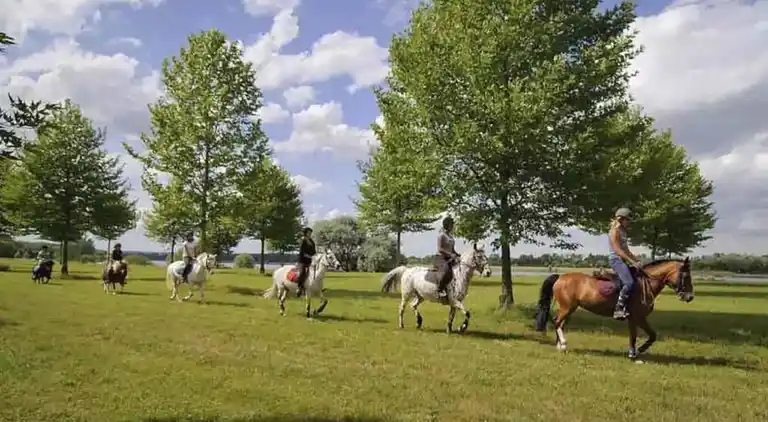 Hytte i Vaires-sur-Marne