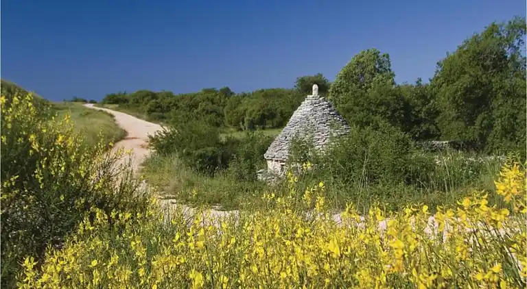 Apartment in Šajini