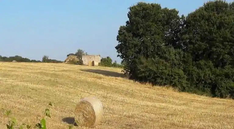 Cottage in Cisternino