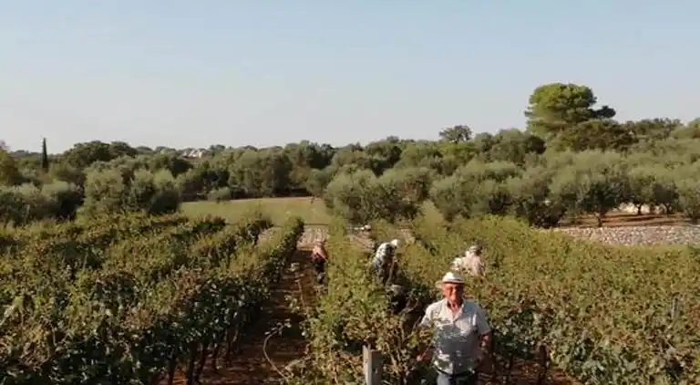 Cottage in Cisternino