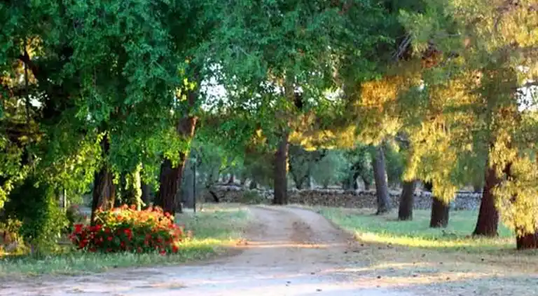 Cottage in Cisternino