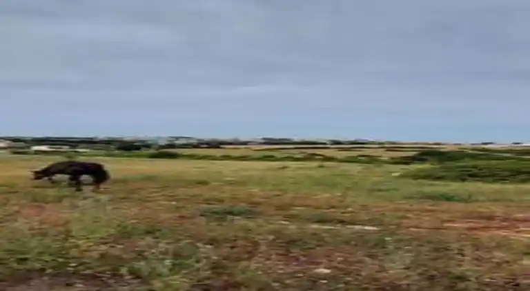 Cottage in Cisternino