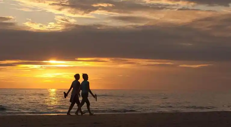 Vakantiehuis in South Holland