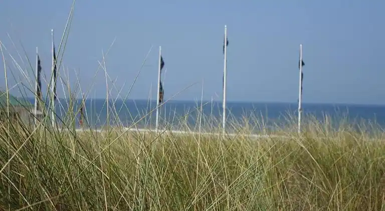 Vakantiehuis in South Holland