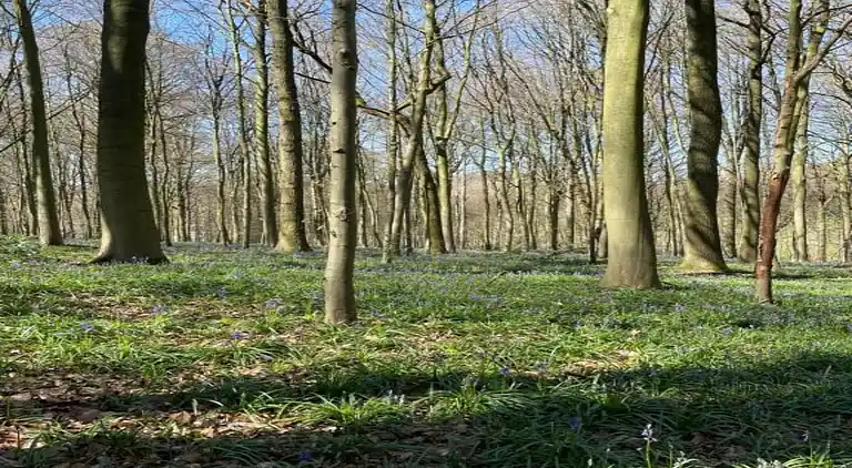 Casa vacanze in Ellezelles