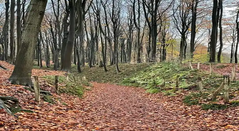 Casa vacanze in Ellezelles