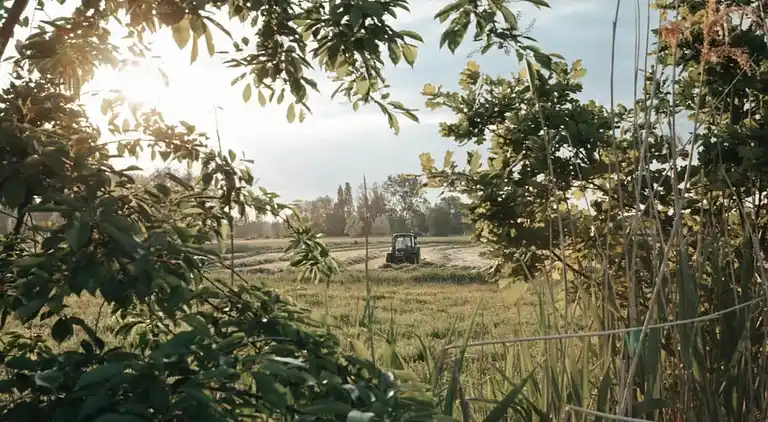 Holiday home in Zele