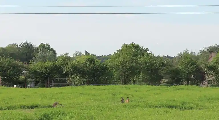 Holiday home in Zele