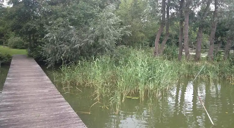 Holiday home in Zele