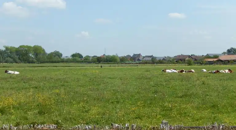 Holiday home in Zele