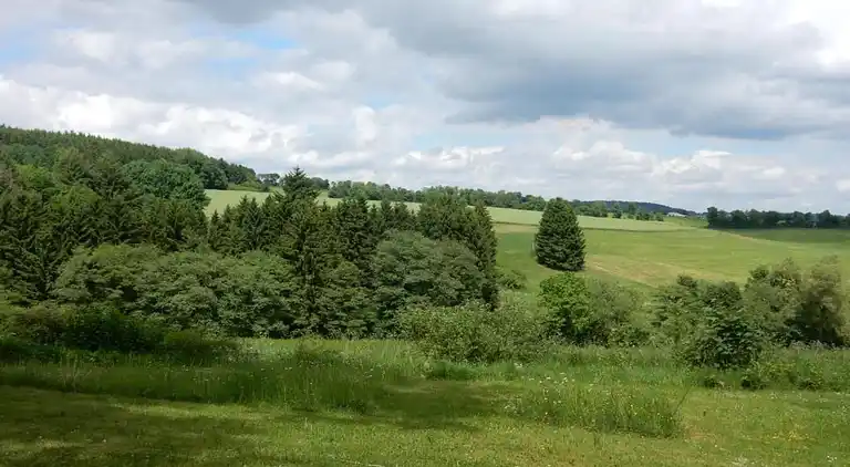 Sommerhus i Feriendorf Lissendorf