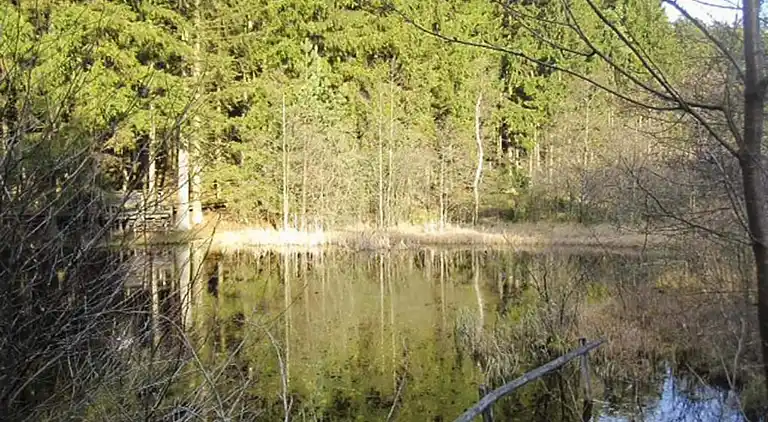 Sommerhus i Feriendorf Lissendorf