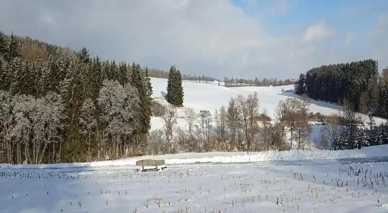Sommerhus i Feriendorf Lissendorf