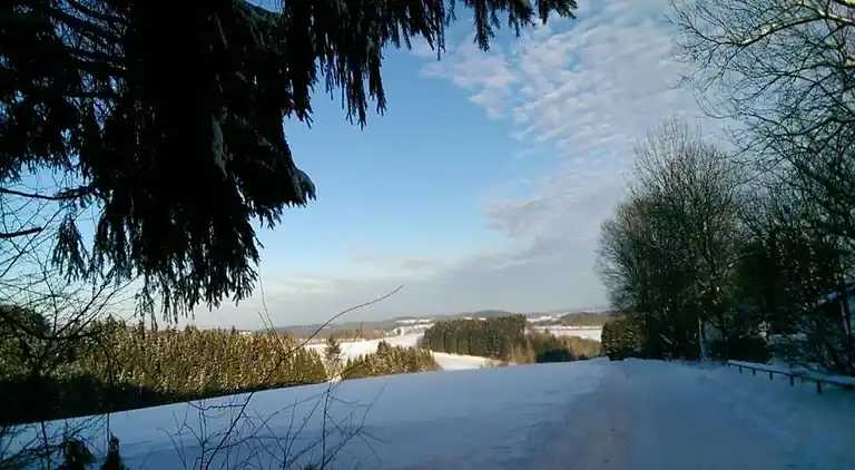 Sommerhus i Feriendorf Lissendorf