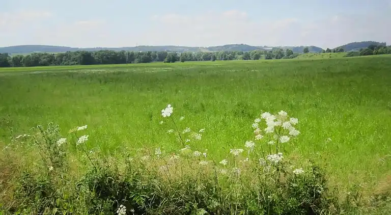 Sommerhus i Feriendorf Lissendorf