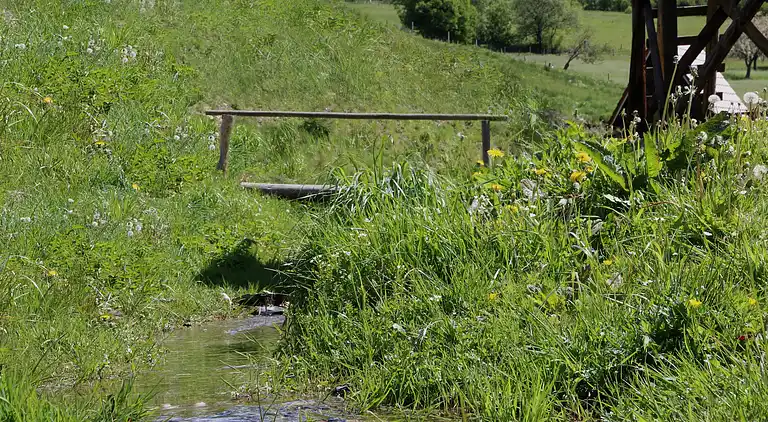 Holiday home in Ramsbeck