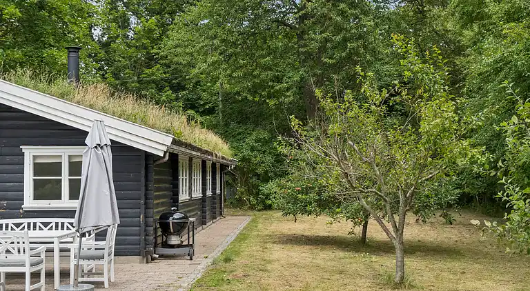 Tømmerhus i Dronningmølle, 150 m til stranden