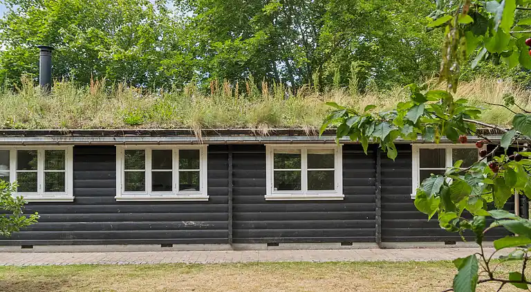 Tømmerhus i Dronningmølle, 150 m til stranden