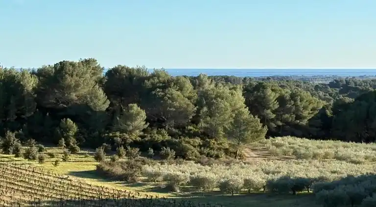 Villa in Saint-Bauzille-de-la-Sylve