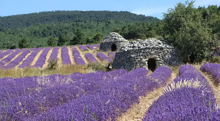Sommerhus i Céreste