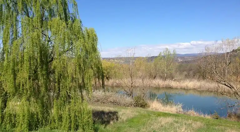 Sommerhus i Céreste