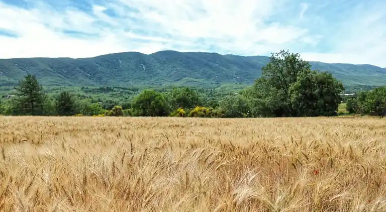 Sommerhus i Céreste