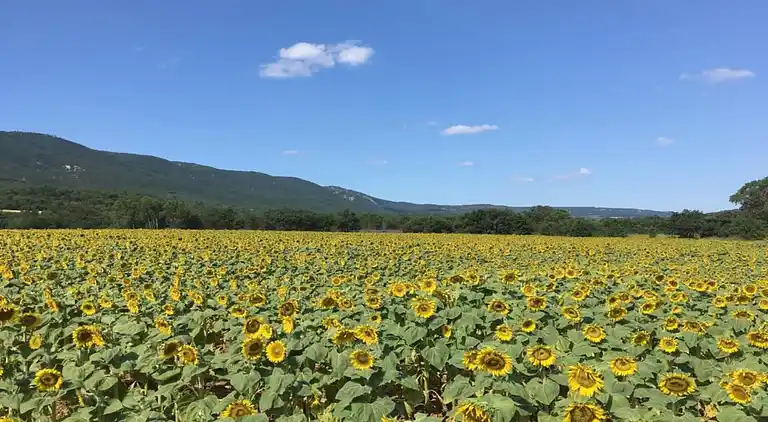 Sommerhus i Céreste