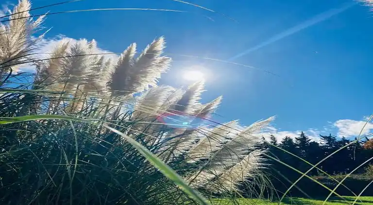 Vakantiehuis in Noves