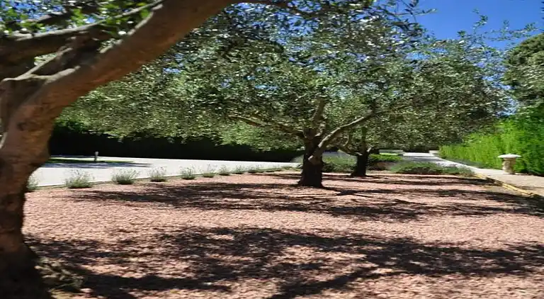 Vakantiehuis in Noves