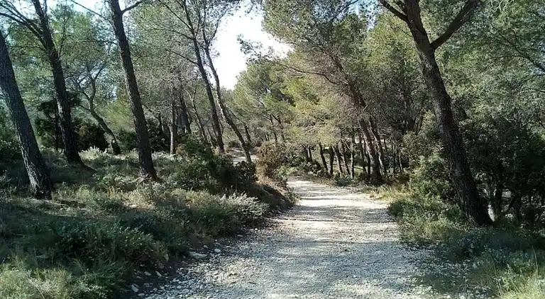 Vakantiehuis in Noves