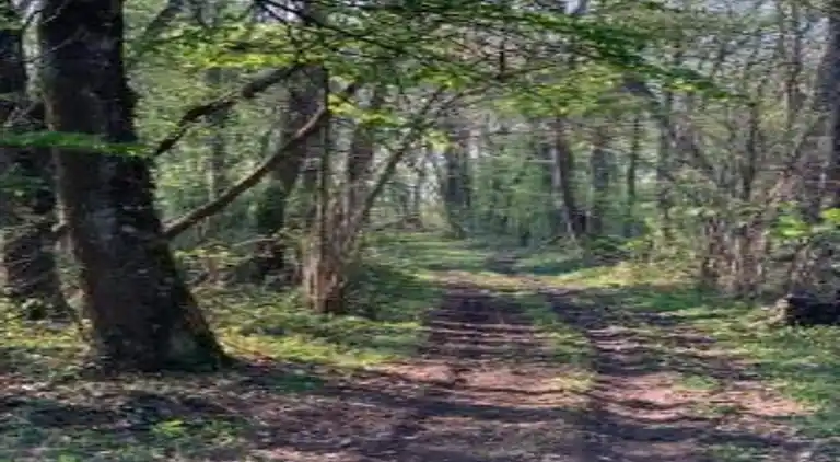 Casa de vacaciones en Oison