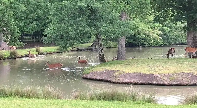 Casa de vacaciones en Oison