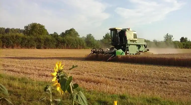 Casa de vacaciones en Oison
