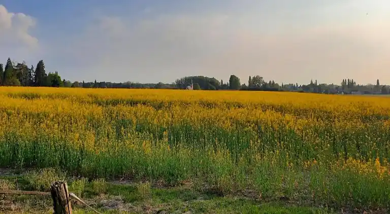Casa de vacaciones en Oison